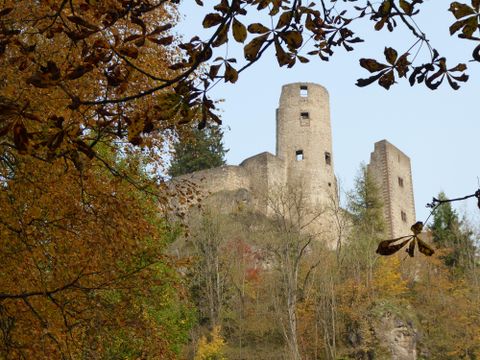 Een oude kasteelruïne op een heuvel, omgeven door kleurrijke herfstbladeren. De heldere lucht biedt een mooi contrast met de historische architectuur.