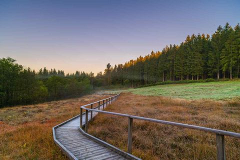 A beautiful wooden path winds through a picturesque landscape with grass and trees. The morning atmosphere creates a calm and peaceful ambiance.