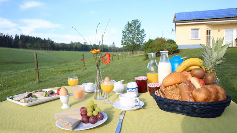 Een overvloedig ontbijt in de buitenlucht met vers fruit, broodjes en drankjes. Op de achtergrond is een groen veld en een eenvoudig huis te zien.