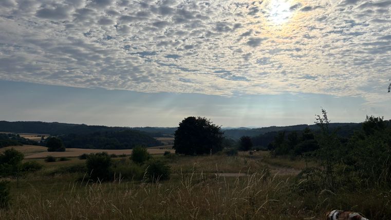 On an early summer morning in Rohr