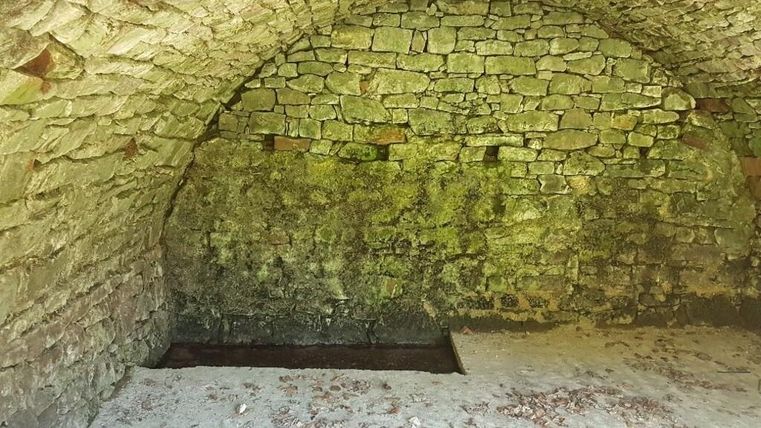 Ein historischer, gewölbter Raum mit Steinmauern und einem unebenen Boden. Die Wände sind teilweise moosig und zeigen das Alter des Raumes.