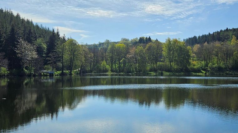 Ein ruhiger See umgeben von grünen Bäumen und sanften Hügeln. Der Himmel ist klar mit einigen Wolken.