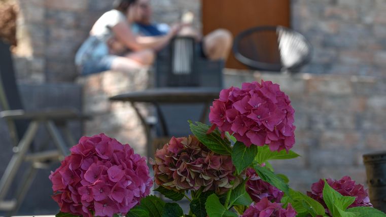 Bunte Hortensienblüten im Vordergrund. Im Hintergrund sitzen zwei Personen entspannt auf einer Terrasse.