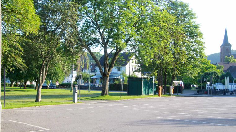 Ein ruhiger Park mit großen Bäumen und einem klaren Himmel. Im Hintergrund sind einige Gebäude und ein Kirchturm zu sehen.