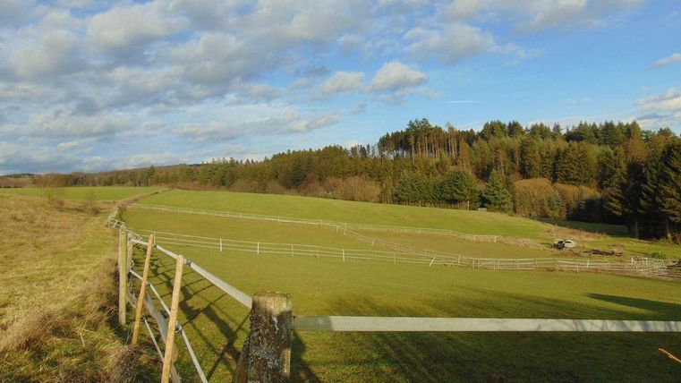 Een groene wei met een hek en bomen op de achtergrond. De lucht is blauw met enkele wolken.