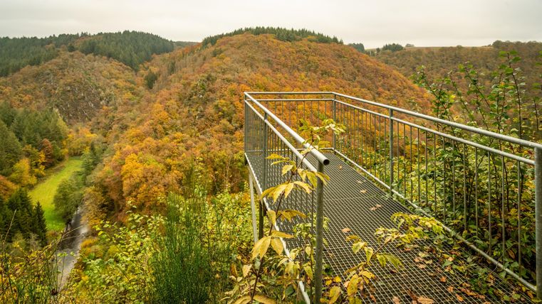 Aussichtspunkt mit Geländer über eine herbstliche Landschaft. Bunte Bäume umgeben einen grünen Fluss und sanfte Hügel.