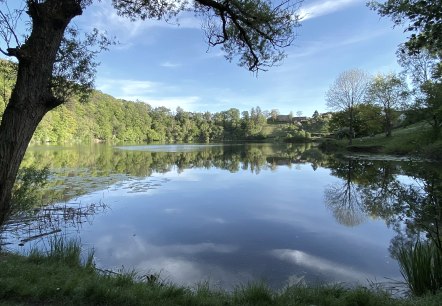 Blick auf das Ulmener Maar, © GesundLand Vulkaneifel GmbH, Carina Wagner