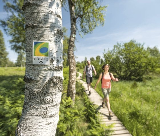 Randonnée sur le Eifelsteig, © Eifel Tourismus GmbH - Dominik Ketz