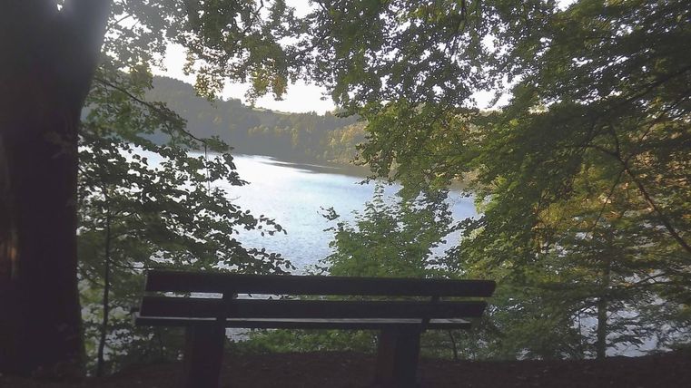 Eine schöne Bank am Ufer eines ruhigen Sees, umgeben von Bäumen. Das Licht durchdringt das Laub und spiegelt sich im Wasser.