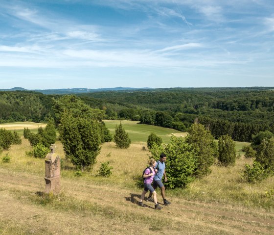 Zwei Wanderer auf einem Pfad in einer grünen, hügeligen Landschaft mit Bäumen und weitem Himmel., © Eifel Tourismus GmbH, Dominik Ketz