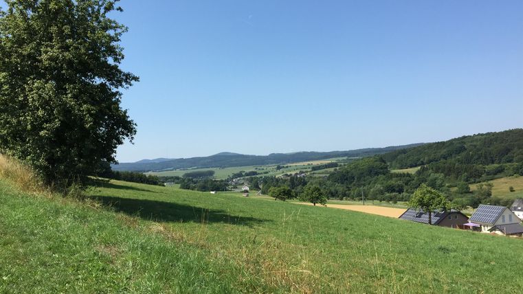 Eine grüne Wiese mit einem einzelnen Baum und sanften Hügeln im Hintergrund. Der Himmel ist klar und blau.