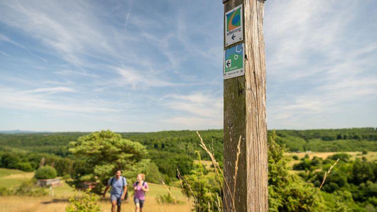Eine Wanderung auf einem malerischen Weg. Im Hintergrund erstreckt sich eine grüne Landschaft unter einem blauen Himmel.