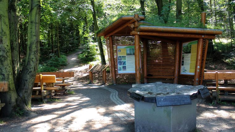 An indoor area in the forest with a wooden information pavilion. There are benches and a small table to enjoy nature.