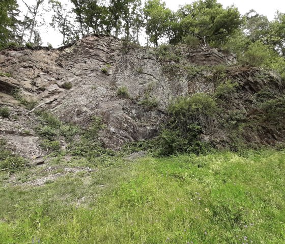 Gesteinsfalte Manderscheid / Pantenburg, &copy; Natur- und Geopark