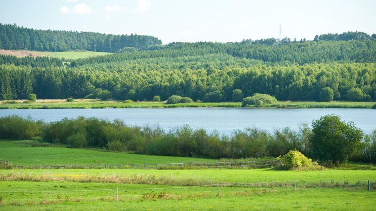 A tranquil landscape with green meadows and a clear lake. In the background, gentle hills and trees are visible.