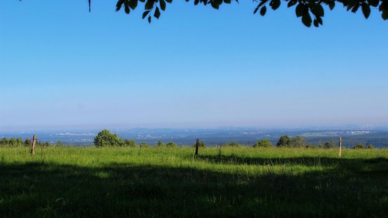 Eine weite, grüne Wiese mit Blick auf die Landschaft unter einem klaren blauen Himmel. Im Vordergrund sind Schatten von Bäumen zu sehen.