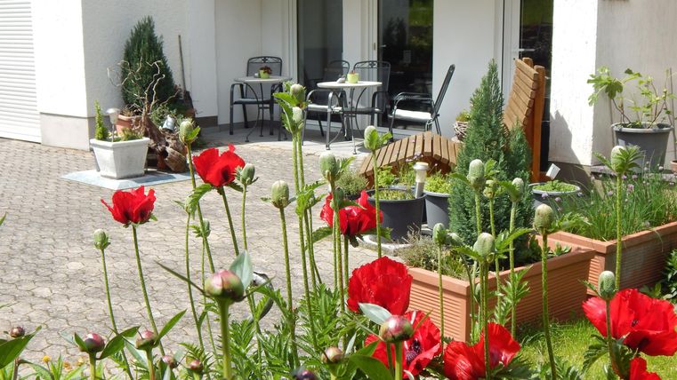 A beautiful garden with red flowers and a cozy seating area. In the background, you can see a bright house facade.