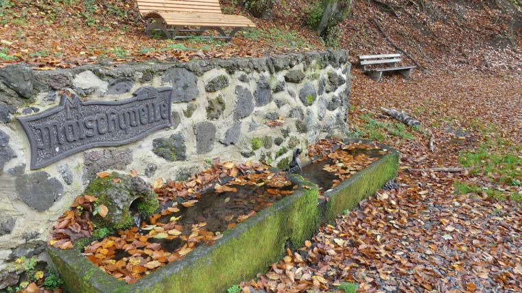 Eine kleine Quelle mit einem Steinrand, umgeben von buntem Laub. Im Hintergrund stehen zwei Bänke in einer ruhigen, naturnahen Umgebung.