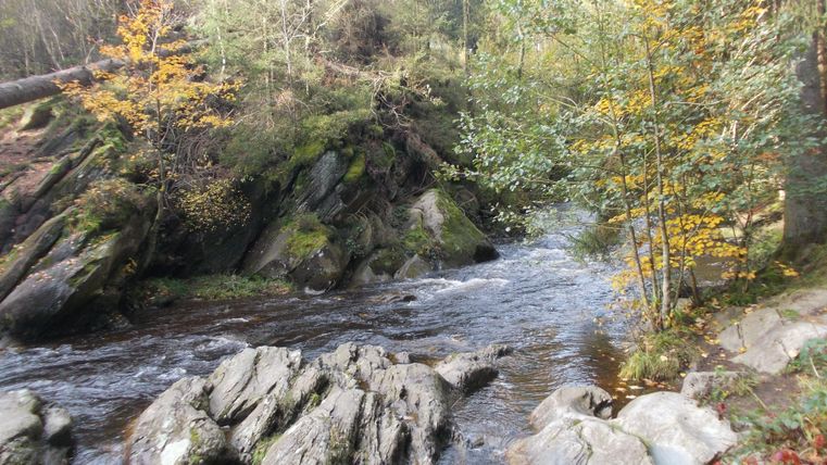 A clear river flows between large rocky banks. Colorful trees surround the water, creating a calm, natural setting.