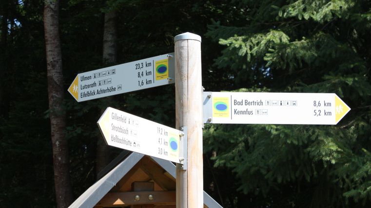 Ein Wegweiser im Wald mit mehreren Richtungen und Entfernungen zu verschiedenen Zielen. Die Umgebung ist grün und bewaldet.