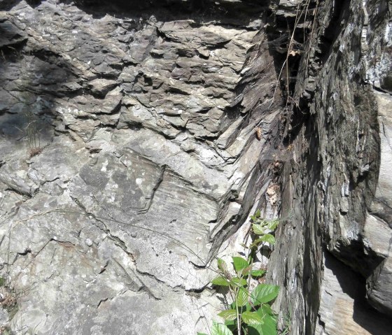 Mullion-Struktur-Felsen (5), &copy; Rursee-Touristik Gmbh