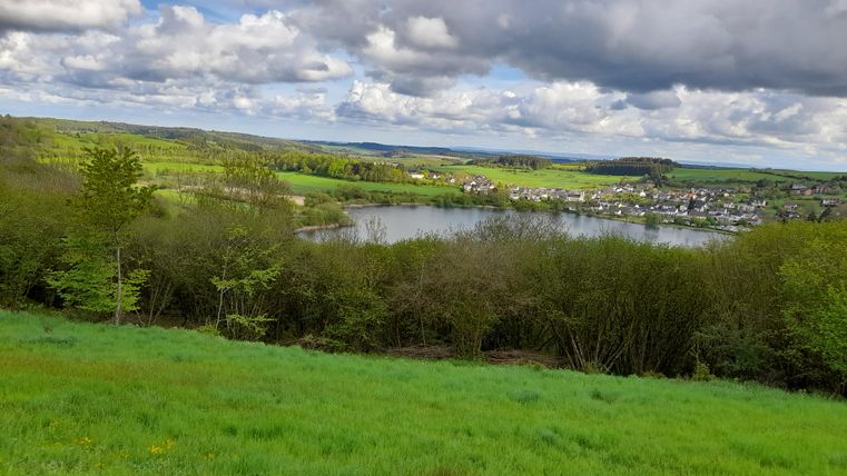 A green landscape with trees and a calm lake. In the background, small houses and a cloudy sky can be seen.