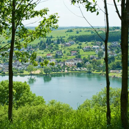 A picturesque view of a lake, surrounded by green forests and gentle hills. In the background, small houses and meadows can be seen.