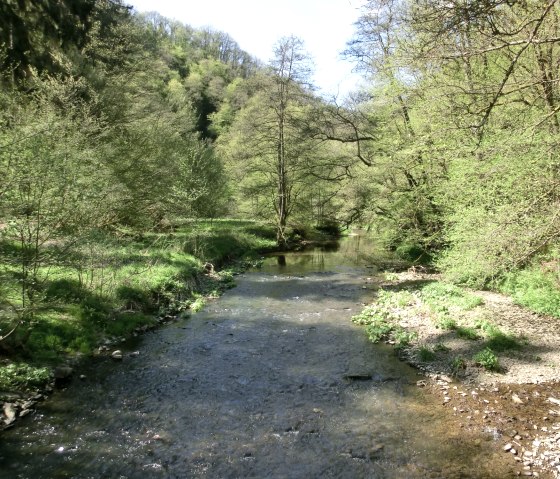 Wandeltocht Manderscheider Burgenstieg: De Lieser, © Eifel Tourismus GmbH