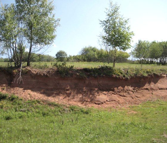 Vulkangarten Steffeln, &copy; Touristik GmbH Gerolsteiner Land