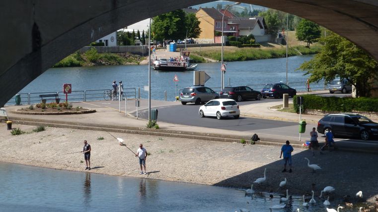 A quiet scene under a bridge with a river. People are fishing and swans are swimming in the water.