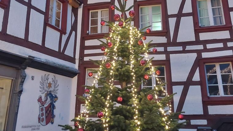 Ein festlich geschmückter Weihnachtsbaum mit Lichtern und roten Kugeln steht in einem Innenhof. Umgeben von historischen, Fachwerkhäusern, strahlt die Szenerie eine gemütliche Weihnachtsatmosphäre aus.