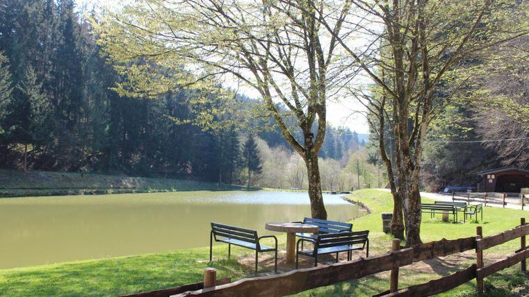 A tranquil pond surrounded by trees and meadows. Next to the water, there are benches for relaxing.