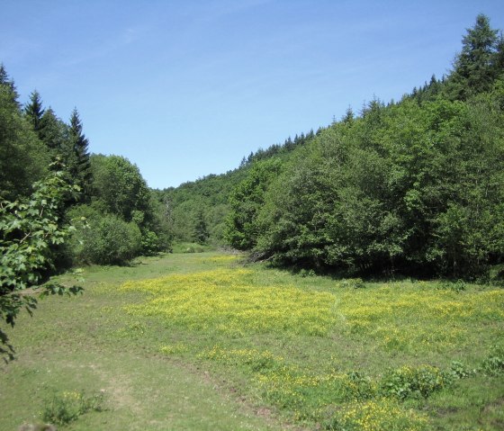 Eifelsteig: The Salm Valley on stage 13, © Eifel Tourismus