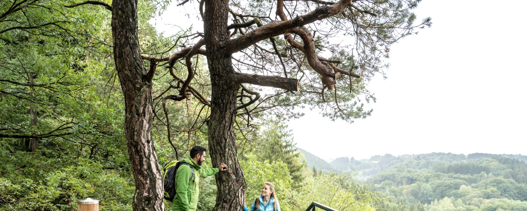 Aire de repos de l'Eifelsteig à Perdsley, © Eifel Tourismus GmbH, Dominik Ketz