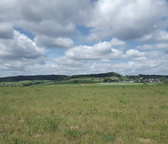 Richtung Aueler Drees, &copy; Touristik GmbH Gerolsteiner Land