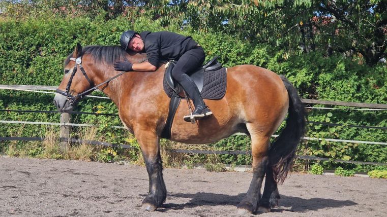 A rider is lying relaxed on a horse in a riding arena. In the background, green plants can be seen.