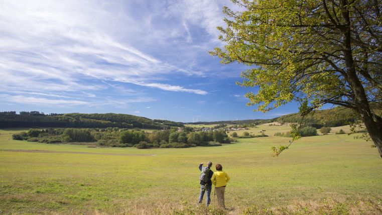 Eine weitläufige Landschaft mit grünem Feld und sanften Hügeln. Zwei Personen betrachten die Aussicht unter einem klaren, blauen Himmel.