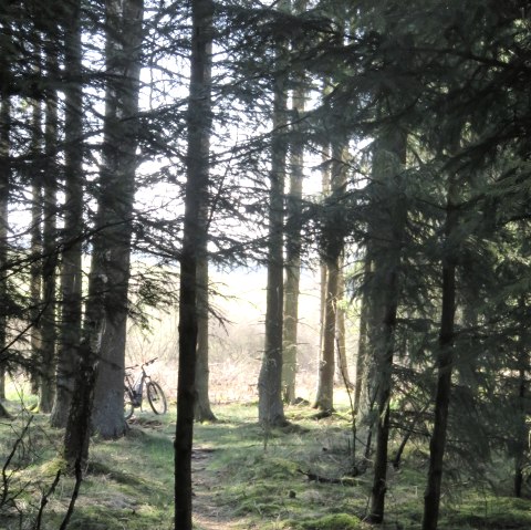 Weg zur Quelle, &copy; TI Kelberg