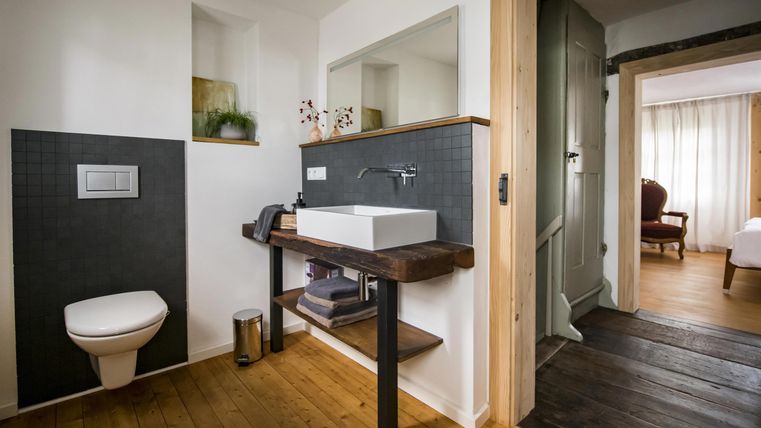 Ein modernes Badezimmer mit einer eleganten Toilette und einem stilvollen Waschbecken auf einem Holzregal. Im Hintergrund ist ein angenehmer Wohnbereich sichtbar.