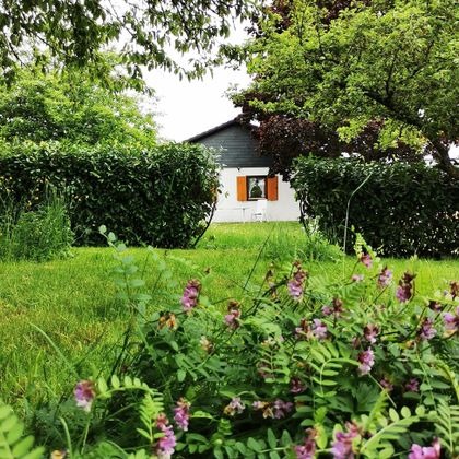 Een huis omringd door een groene tuin en struiken. Voor staan er roze bloemen in het gras.
