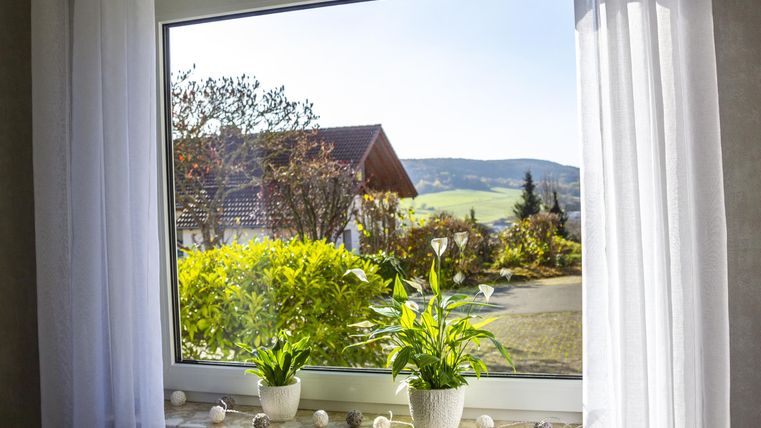 View from a window overlooking a green landscape with a house in the background. On the windowsill, there are two plants.