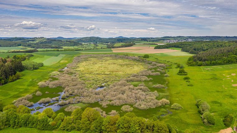Eine weitläufige Grünlandschaft mit einem natürlichen Feuchtgebiet und heiteren Wolken am Himmel. Die Umgebung ist von sanften Hügeln und Wäldern umgeben.
