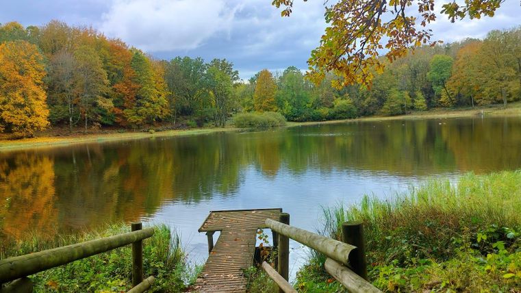 A tranquil lake surrounded by colorful autumn foliage. The sky is cloudy and the mood is peaceful.