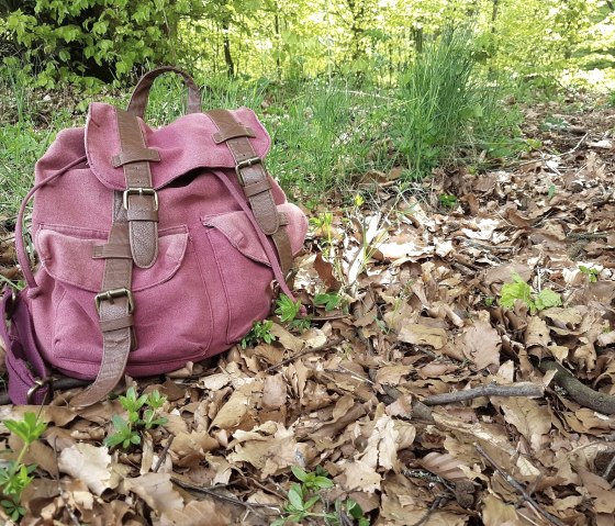 Wandern rund um Niederkail / Eifel, &copy; Nicole Baller