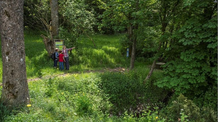 Drei Personen im Wald betrachten eine Infotafel. Eine Person zeigt in eine Richtung. Üppige Vegetation und Bäume umgeben die Szene.