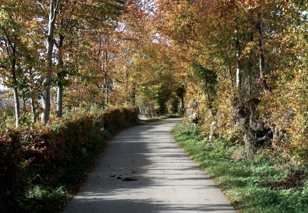 Hiking tour Heckenlandroute, © Monschauer Land