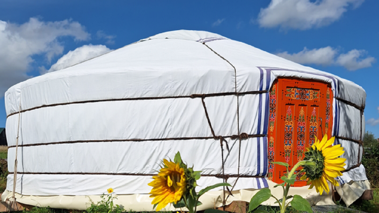 Ein traditionelles, weißes Jurtenzelt mit einer orangefarbenen Tür steht auf einer Wiese. Im Vordergrund blühen Sonnenblumen unter einem klaren blauen Himmel.