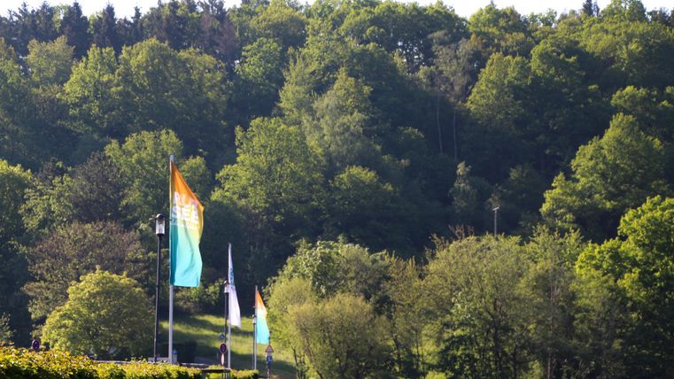 Eine ruhige Landschaft mit vielen Bäumen und bunten Fahnen. Der Himmel ist klar und die Natur wirkt einladend.