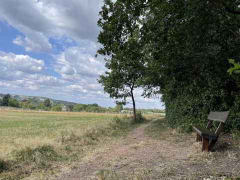 A calm path with a bench and green meadows. The sky is cloudy and there are some trees.