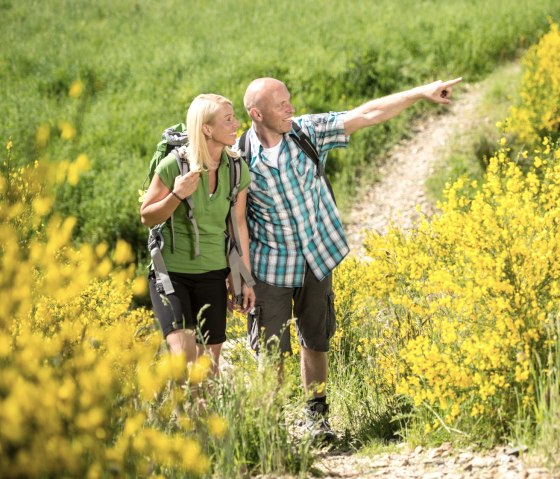 Rur-Olef Route: Dotterbloesem op de hoogvlakte van Dreiborn, © Stadt Schleiden, D. Ketz